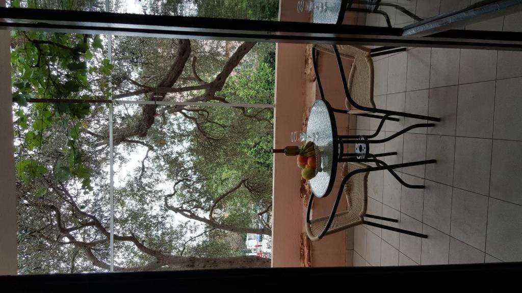 Guest House Vukovic Petrovac Room photo